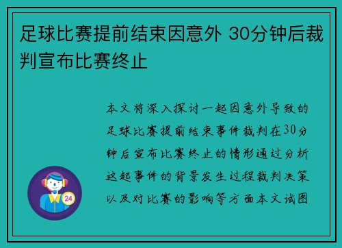 足球比赛提前结束因意外 30分钟后裁判宣布比赛终止