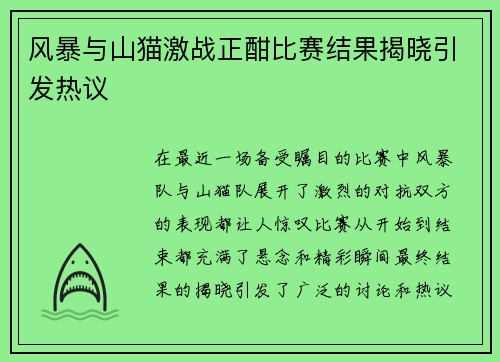 风暴与山猫激战正酣比赛结果揭晓引发热议